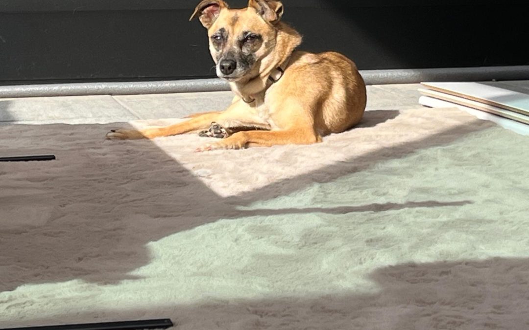 Zoë