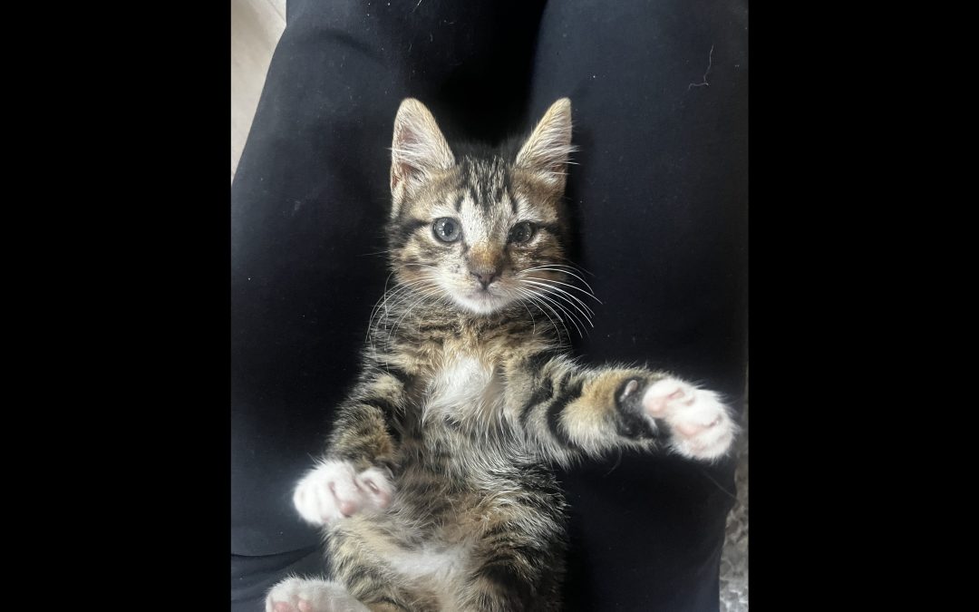 Max
